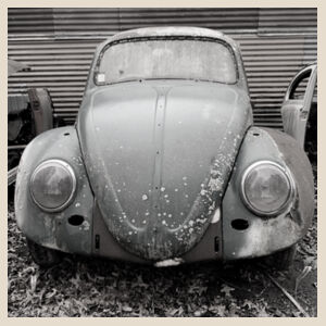 Beetle Shopping Bag Design