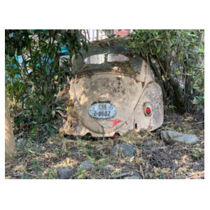 Buzzbug Garden in colour Design